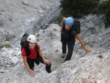 Klik za večjo sliko